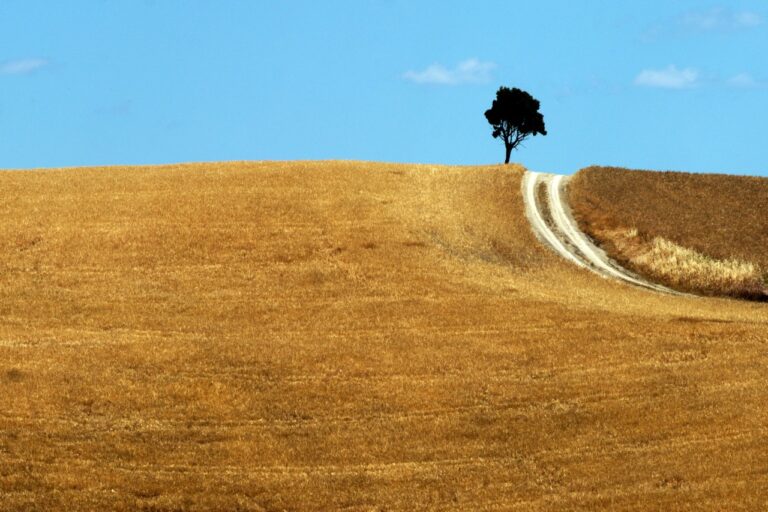 Preparare un file per la stampa