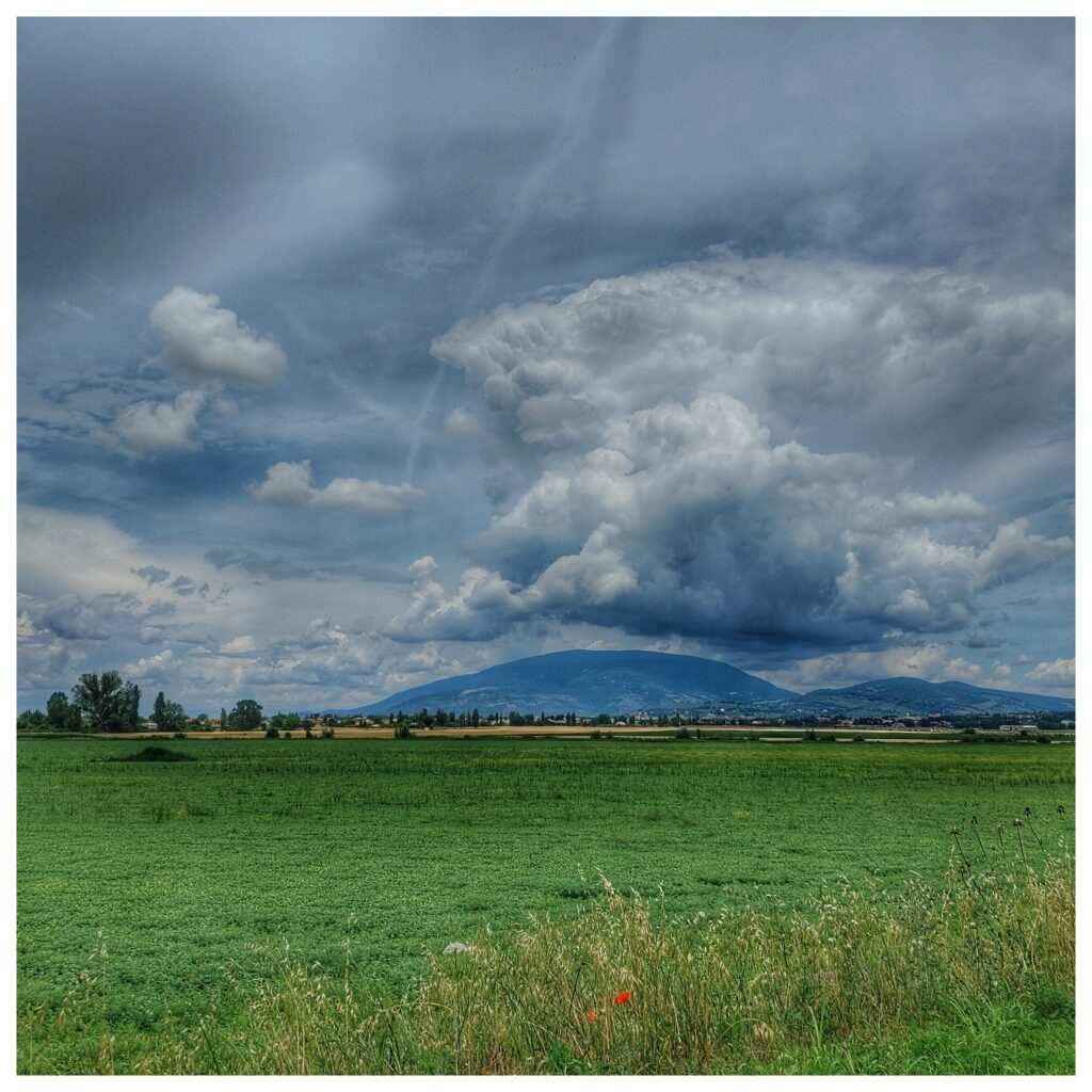 Colli Euganei - Padova