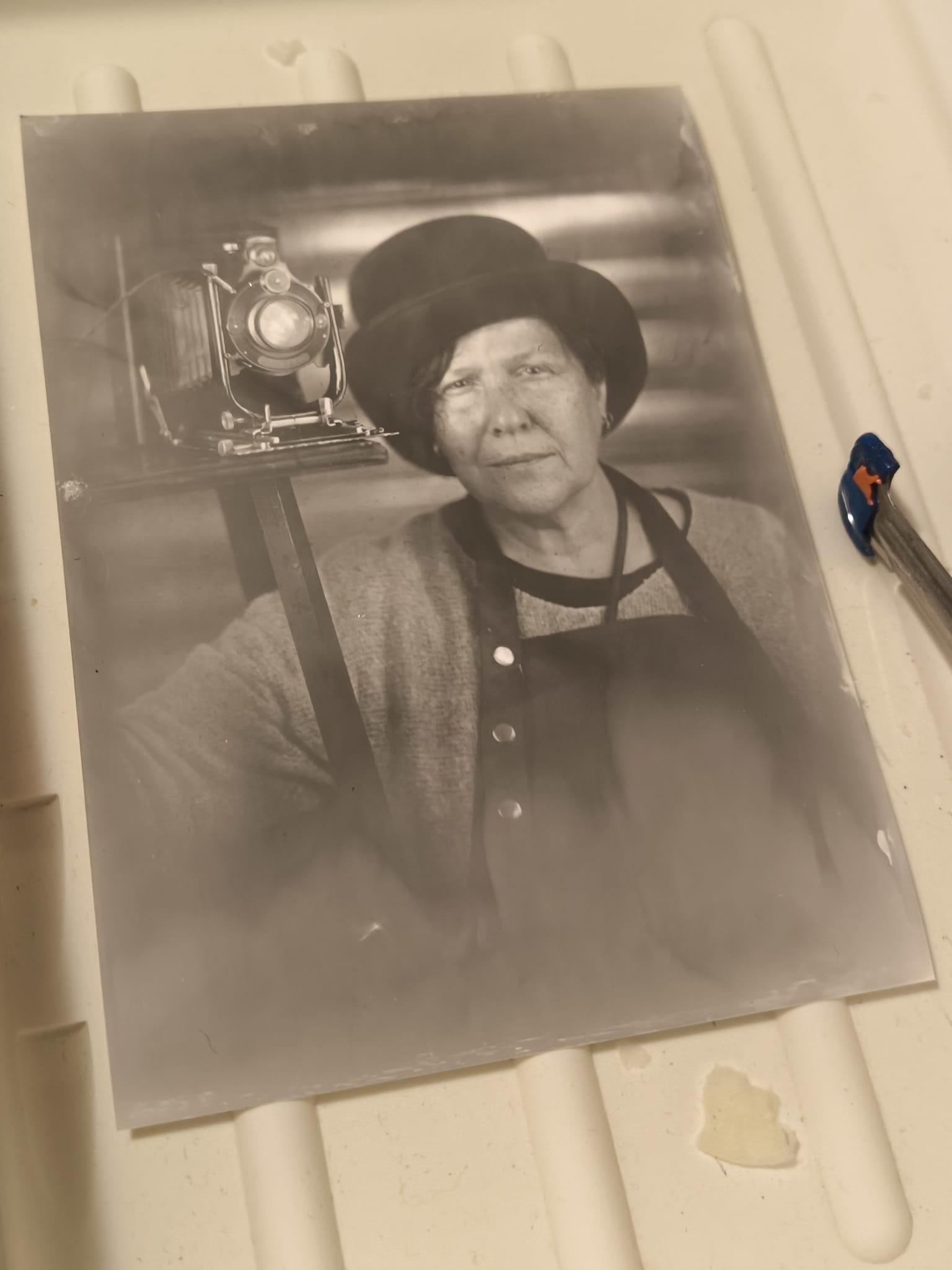 APPRODARE AL VOLTO - Workshop al Collodio Umido