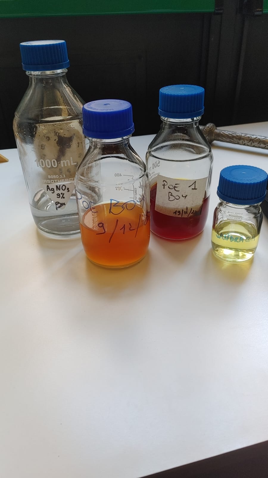 APPRODARE AL VOLTO - Workshop al Collodio Umido